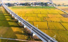 工程金奖丨九景衢铁路精密控制测量项目报道